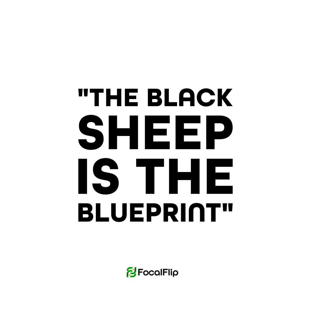 FocalFlip Hoodie - The Black Sheep is The Blueprint